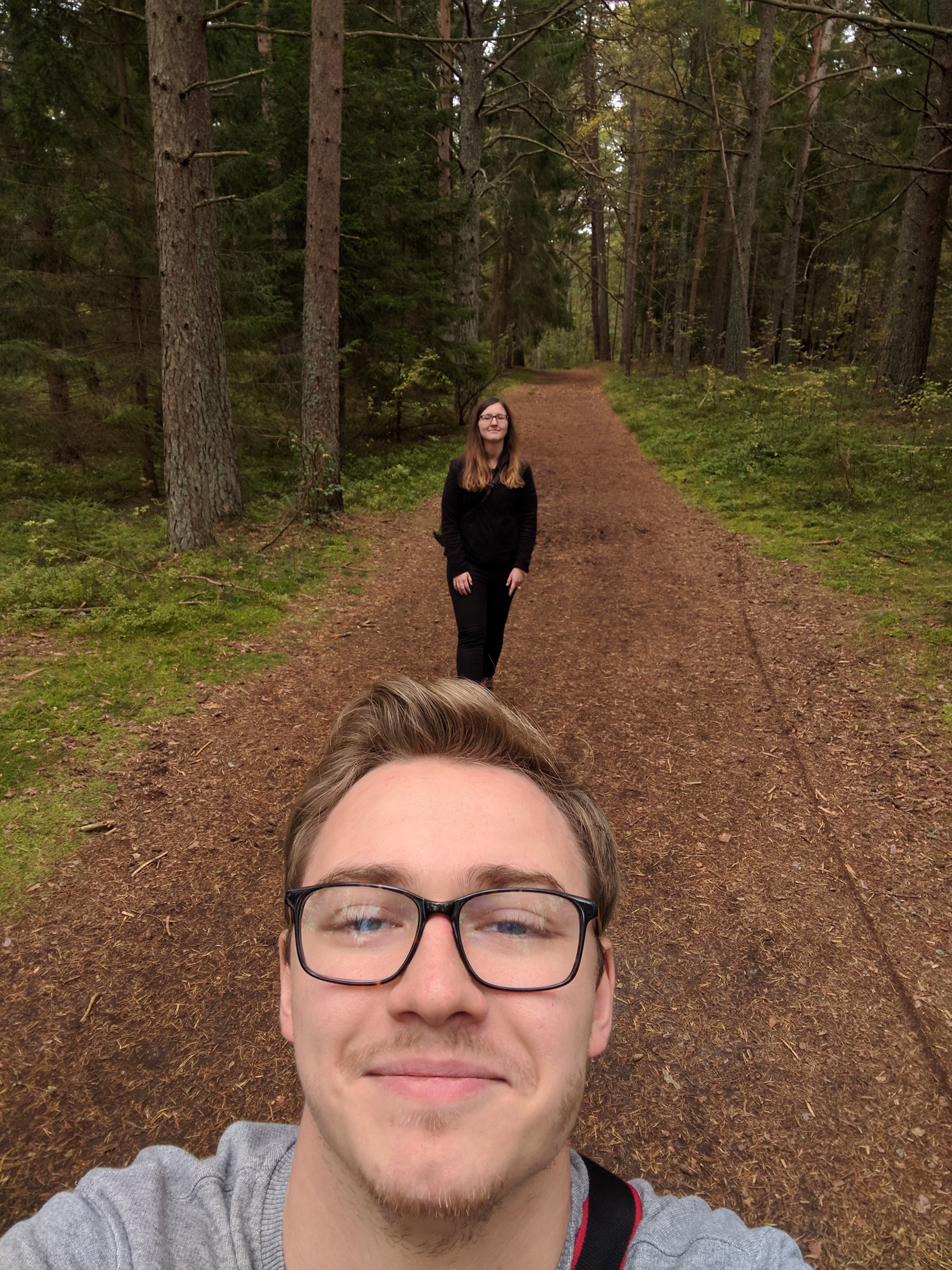 Im Wald Schweden